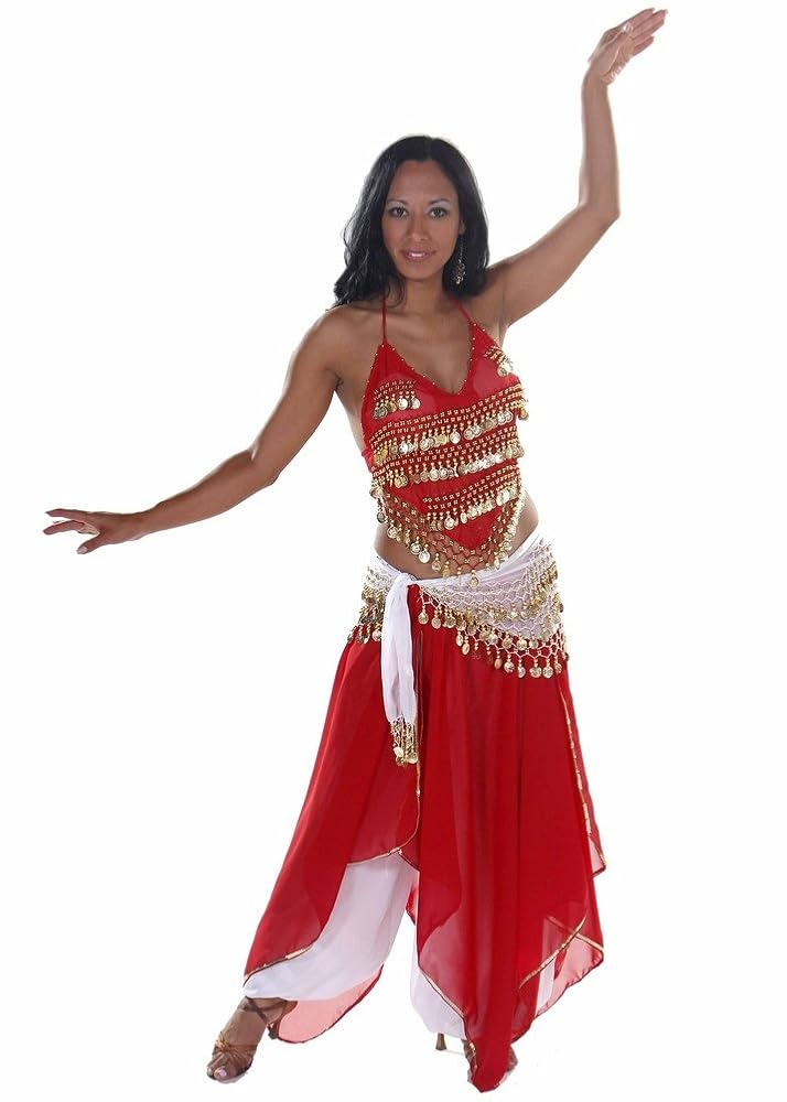 Amazon.com: Belly Dance Top, Skirt, Pants & Hip Scarf